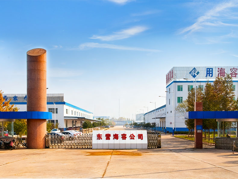 青州中恒高科塑業有限公司